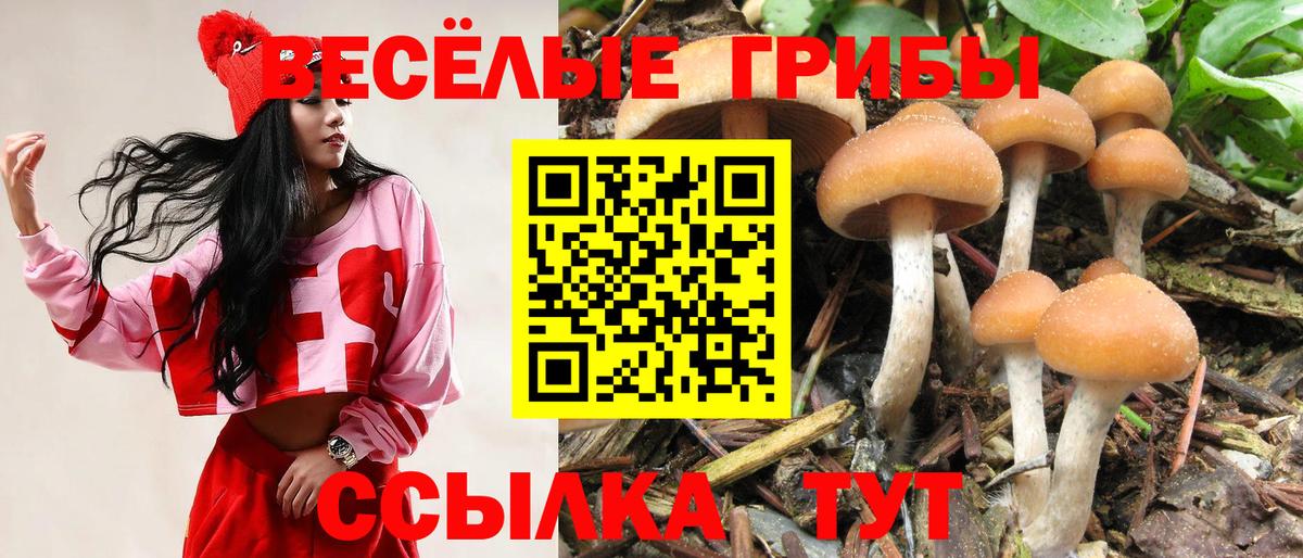 Галлюциногенные грибы мухоморы Можайск