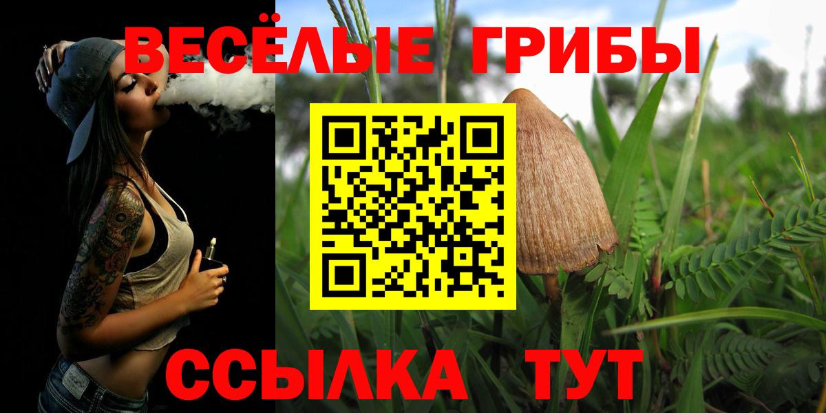Галлюциногенные грибы прущие грибы  Галлюциногенные грибы прущие грибы  Вход с VPN  Можайск 